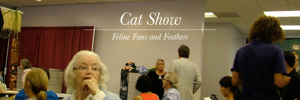 header cat show suzy mae