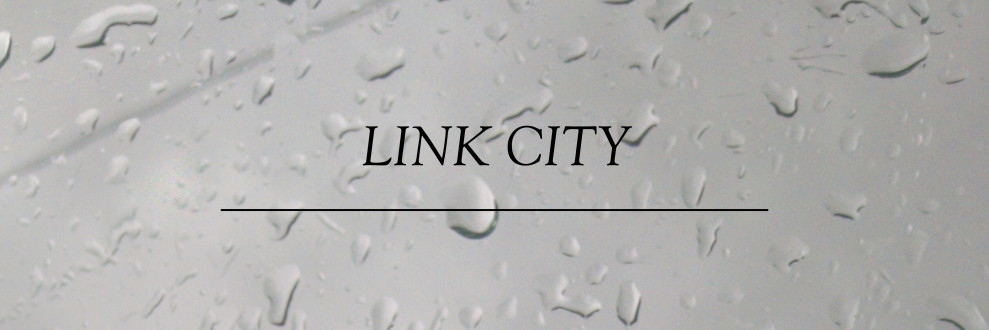 LINK CITY HEADER